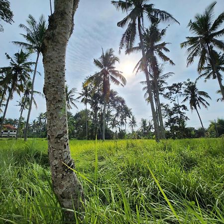 Casa Idea Ubud Bagian luar foto